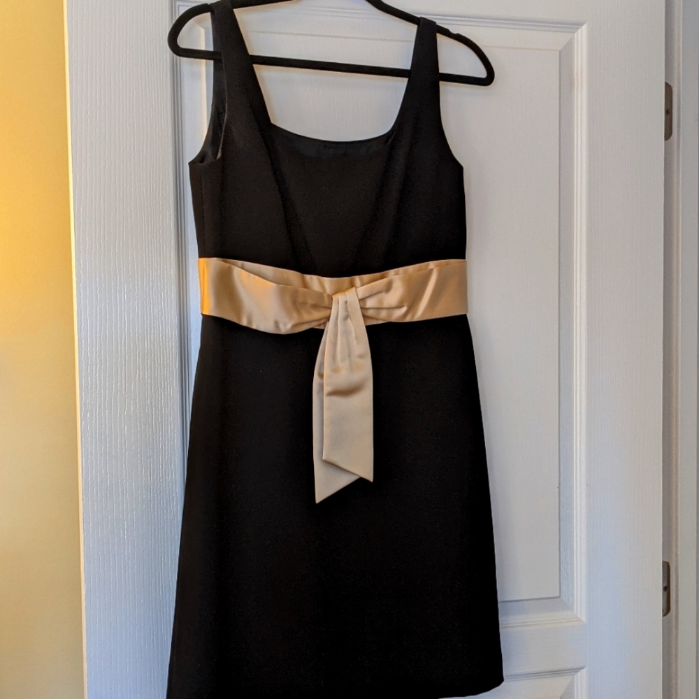 Ann Taylor LBD Party Dress Size 10P